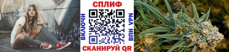 Шишки марихуана Amnesia  Купить где  Карабулак 